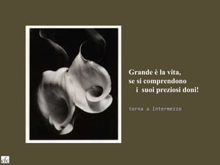 Grande è la vita,  se si comprendono  i  suoi preziosi doni! torna a Intermezzo 