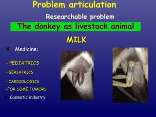Researchable problem The donkey as livestock animal MILK Medicine: - PEDIATRICS - GERIATRICS - CARDIOLOGICS - FOR SOME TUMORS Cosmetic industry  Problem articulation  