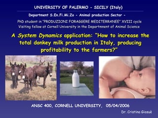 UNIVERSITY OF PALERMO - SICILY (Italy)   Department S.En.Fi.Mi.Zo - Animal production Sector -   ANSC 400, CORNELL UNIVERSITY,  05/04/2006 Dr. Cristina Giosuè A  System Dynamics  application: “How to increase the total donkey milk production in Italy, producing profitability to the farmers?”  PhD student in “PRODUZIONI FORAGGERE MEDITERRANEE” XVIII cycle Visiting fellow at Cornell University in the Departmnent of Animal Science  