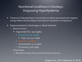 Nutritional Conditions in Donkeys:
Diagnosing Hyperlipidemia
 Presences of elevated lipid concentrations in blood associated with negative
energy balance & physiologic stress (loss of companion or pregnancy)
 Diagnosis based on clinical signs vs. blood chemistry
 Blood Chemistry:
 Triglyceride (TG) < 500 mg/dL)
 Donkey 66.4 ± 34.2 mg/dL
 range: 23.5-144.0 mg/dL
 HorseTG 14- 77 mg/dL
 Fasted donkeys: 112.7 mg/dL
 Fed donkeys: 33.82 mg/dL
 Clinical Signs:
 Milky plasma samples, lethargy, decreased appetite, depression
(Dugat et al., 2010; McKenzie III, 2010)
 
