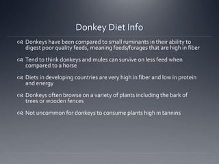 Donkey Diet Info
 Donkeys have been compared to small ruminants in their ability to
digest poor quality feeds, meaning feeds/forages that are high in fiber
 Tend to think donkeys and mules can survive on less feed when
compared to a horse
 Diets in developing countries are very high in fiber and low in protein
and energy
 Donkeys often browse on a variety of plants including the bark of
trees or wooden fences
 Not uncommon for donkeys to consume plants high in tannins
 