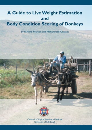 A Guide to Live Weight Estimation
               and
Body Condition Scoring of Donkeys
      By R. Anne Pearson and Mohammed Ouassat




           Centre for Tropical Veterinary Medicine
                  University of Edinburgh
 