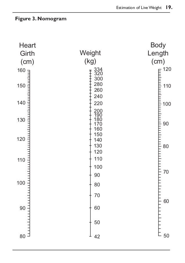 Donkey Weight Chart