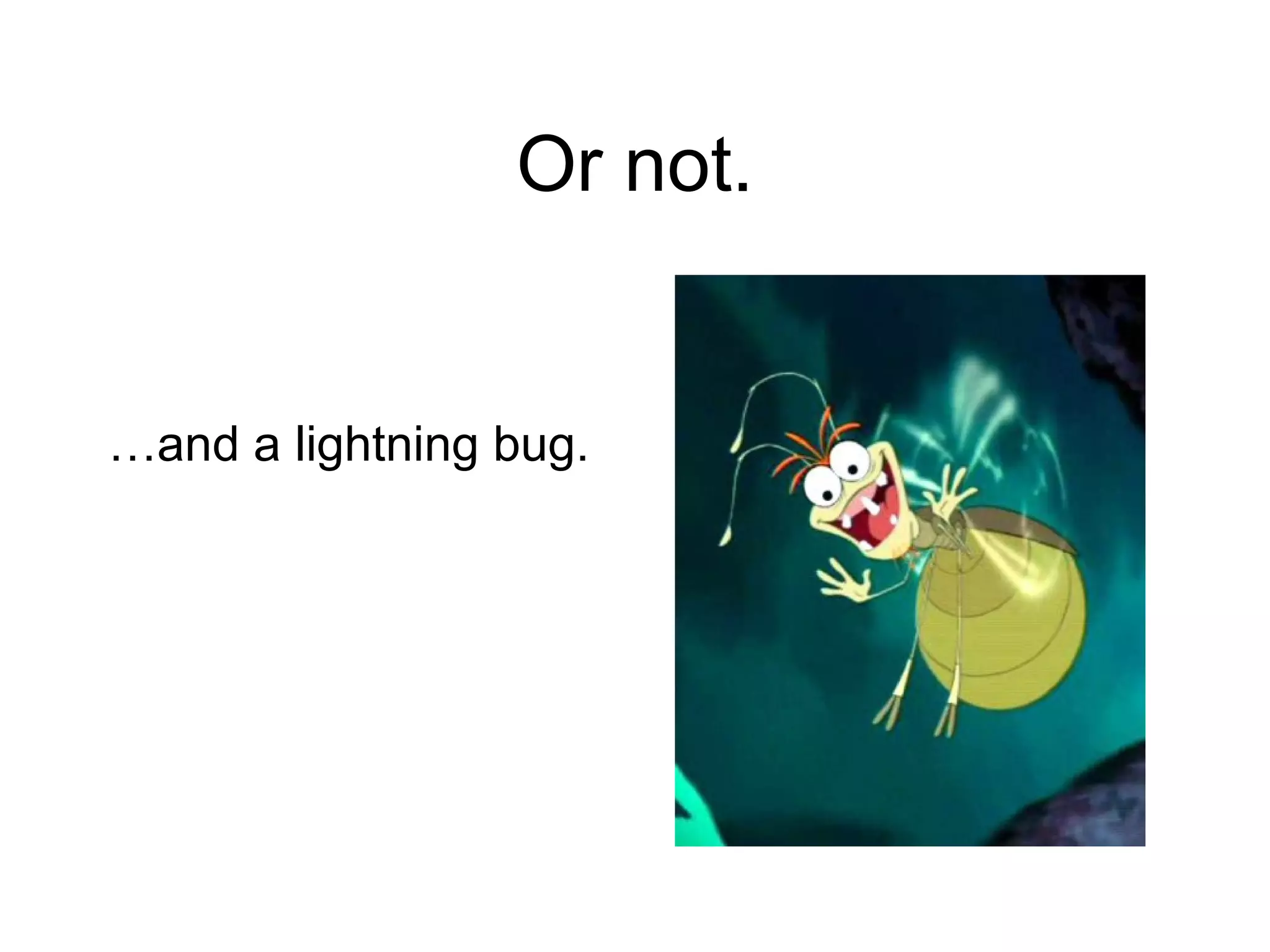 Or not. … and a lightning bug. 