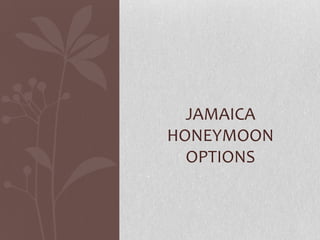 JAMAICA
HONEYMOON
OPTIONS

 