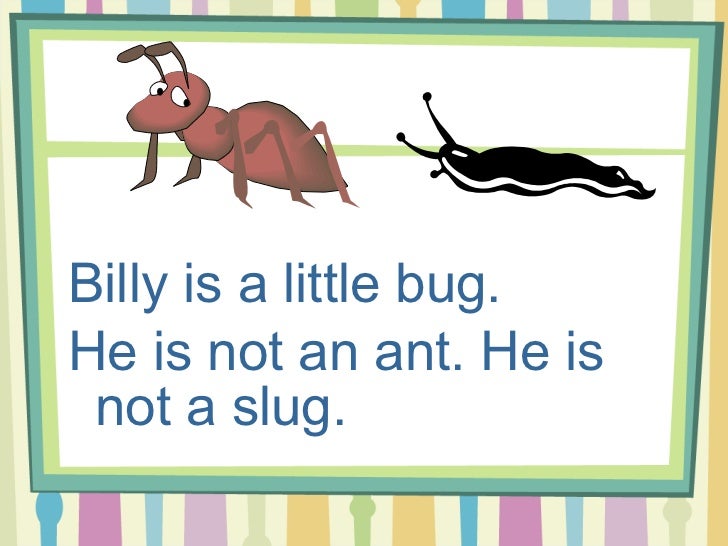 Billy the Bug