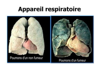 Appareil respiratoire

 