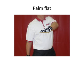 Palm flat
 