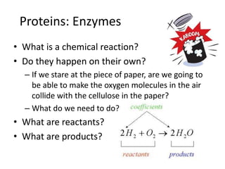 Donohue enzymes