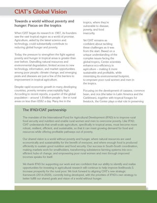 CIAT’s Partnership with the International Fund for Agricultural Development (IFAD): Guided by a Shared Vision