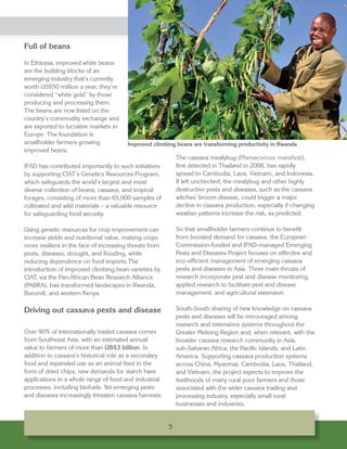 CIAT’s Partnership with the International Fund for Agricultural Development (IFAD): Guided by a Shared Vision