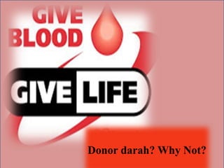 Donor darah? Why Not?
 