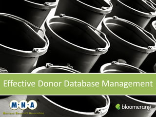Effective Donor Database Management
 