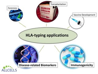 Transplantation
Forensics
Disease-related Biomarkers
HLA-typing applications
Immunogenicity
Vaccine Development
 