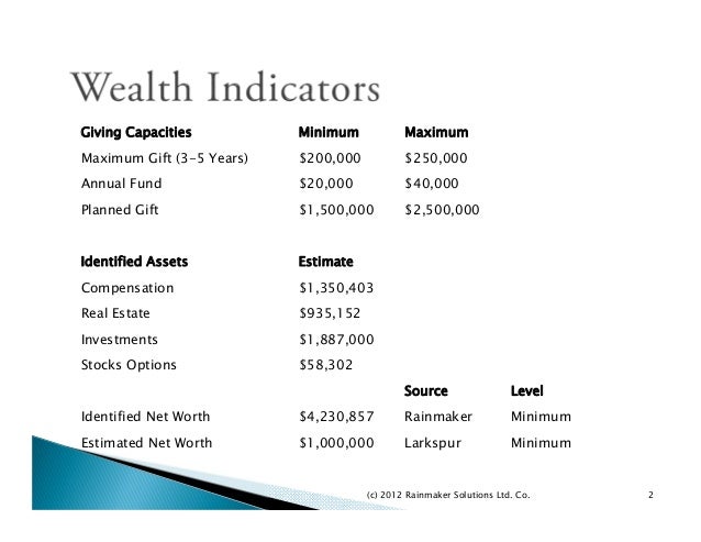 donor profile template company rainmaker solutions sle donor profile donor profile template company rainmaker solutions sle donor profile