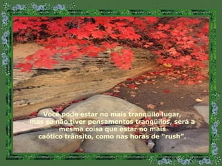 Você pode estar no mais tranqüilo lugar, mas se não tiver pensamentos tranqüilos, será a mesma coisa que estar no mais caótico trânsito, como nas horas de “rush”. 