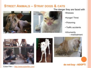 Animal Inhumanity Do not buy adopt! | PPSX