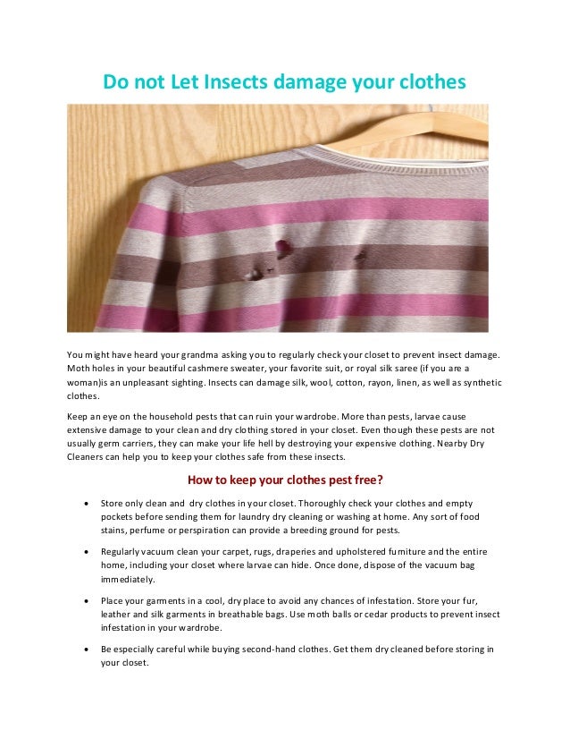 Do Not Let Insects Damage Your Clothes