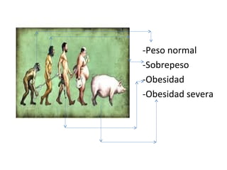 -Peso normal
-Sobrepeso
-Obesidad
-Obesidad severa