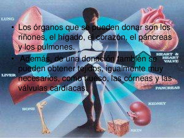 Los ejercicios isométricos para el cuello la osteocondrosis