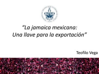 “La jamaica mexicana:
Una llave para la exportación”
Teofilo Vega
 