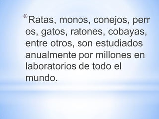 *Ratas, monos, conejos, perr
os, gatos, ratones, cobayas,
entre otros, son estudiados
anualmente por millones en
laboratorios de todo el
mundo.
 