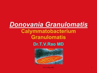 Donovania Granulomatis
Calymmatobacterium
Granulomatis
Dr.T.V.Rao MD
Dr.T.V.Rao MD 1
 