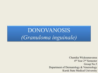 DONOVANOSIS
(Granuloma inguinale)
Chamika Wickramavansa
4th Year 2nd Semester
Group No.5
Department of Dermatology & Venereology
Kursk State Medical University
 
