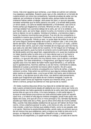 moros, más eran agujeros que ventanas, y aun éstas se cubrían con celosías
muy espesas y apretadas. Acaeció, pues, que un día, estando en un terrado de
nuestra prisión con otros tres compañeros, haciendo pruebas de saltar con las
cadenas, por entretener el tiempo, estando solos, porque todos los demás
cristianos habían salido a trabajar, alcé acaso los ojos y vi que por aquellas
cerradas ventanillas que he dicho parecía una caña, y al remate della puesto
un lienzo atado, y la caña se estaba blandeando y moviéndose, casi como si
hiciera señas que llegásemos a tomarla. Miramos en ello, y uno de los que
conmigo estaban fue a ponerse debajo de la caña, por ver si la soltaban, o lo
que hacían; pero, así como llegó, alzaron la caña y la movieron a los dos lados,
como si dijeran no con la cabeza. Volvióse el cristiano, y tornáronla a bajar y
hacer los mesmos movimientos que primero. Fue otro de mis compañeros, y
sucedióle lo mesmo que al primero. Finalmente, fue el tercero y avínole lo que
al primero y al segundo. Viendo yo esto, no quise dejar de probar la suerte, y,
así como llegué a ponerme debajo de la caña, la dejaron caer, y dio a mis pies
dentro del baño. Acudí luego a desatar el lienzo, en el cual vi un nudo, y dentro
dél venían diez cianíis, que son unas monedas de oro bajo que usan los moros,
que cada una vale diez reales de los nuestros. Si me holgué con el hallazgo, no
hay para qué decirlo, pues fue tanto el contento como la admiración de pensar
de donde podía venirnos aquel bien, especialmente a mí, pues las muestras de
no haber querido soltar la caña sino a mí claro decían que a mí se hacía la
merced. Tomé mi buen dinero, quebré la caña, volvíme al terradillo, miré la
ventana, y vi que por ella salía una muy blanca mano, que la abrían y cerraban
muy apriesa. Con esto entendimos, o imaginamos, que alguna mujer que en
aquella casa vivía nos debía de haber hecho aquel beneficio; y, en señal de
que lo agradecíamos, hecimos zalemas a uso de moros, inclinando la cabeza,
doblando el cuerpo y poniendo los brazos sobre el pecho. De allí a poco
sacaron por la mesma ventana una pequeña cruz hecha de cañas, y luego la
volvieron a entrar. Esta señal nos confirmó en que alguna cristiana debía de
estar cautiva en aquella casa, y era la que el bien nos hacía; pero la blancura
de la mano, y las ajorcas que en ella vimos, nos deshizo este pensamiento,
puesto que imaginamos que debía de ser cristiana renegada, a quien de
ordinario suelen tomar por legítimas mujeres sus mesmos amos, y aun lo
tienen a ventura, porque las estiman en más que las de su nación.
»En todos nuestros discursos dimos muy lejos de la verdad del caso; y así,
todo nuestro entretenimiento desde allí adelante era mirar y tener por norte a la
ventana donde nos había aparecido la estrella de la caña; pero bien se pasaron
quince días en que no la vimos, ni la mano tampoco, ni otra señal alguna. Y,
aunque en este tiempo procuramos con toda solicitud saber quién en aquella
casa vivía, y si había en ella alguna cristiana renegada, jamás hubo quien nos
dijese otra cosa, sino que allí vivía un moro principal y rico, llamado Agi Morato,
alcaide que había sido de La Pata, que es oficio entre ellos de mucha calidad.
Mas, cuando más descuidados estábamos de que por allí habían de llover más
cianíis, vimos a deshora parecer la caña, y otro lienzo en ella, con otro nudo
más crecido; y esto fue a tiempo que estaba el baño, como la vez pasada, solo
y sin gente. Hecimos la acostumbrada prueba, yendo cada uno primero que yo,
de los mismos tres que estábamos, pero a ninguno se rindió la caña sino a mí,
porque, en llegando yo, la dejaron caer. Desaté el nudo, y hallé cuarenta
escudos de oro españoles y un papel escrito en arábigo, y al cabo de lo escrito
 