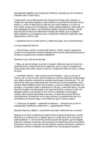 Don quijote de la Mancha