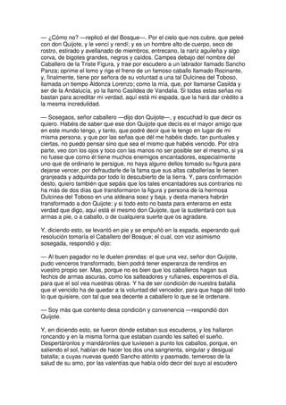 Don quijote de la Mancha