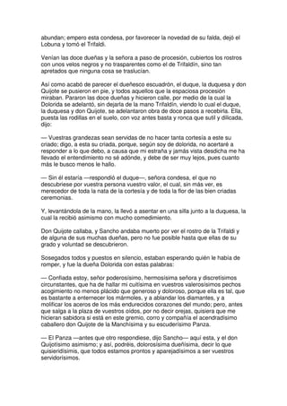 Don quijote de la Mancha