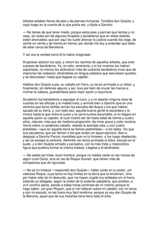 Don quijote de la Mancha