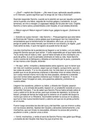 Don quijote de la Mancha