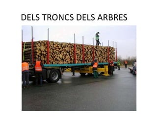 DELS TRONCS DELS ARBRES