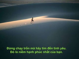 Đừng chạy trốn mà hãy tìm đến tình yêu. Đó là niềm hạnh phúc nhất của bạn. 