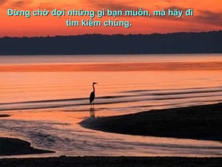 Đừng chờ đợi những gì bạn muốn, mà hãy đi tìm kiếm chúng.  