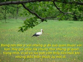 Ðừng nên thờ ơ với những gì đã quá quen thuộc với bạn. Hãy giữ chắc lấy chúng như những gì quan trọng nhất, vì sẽ có lúc bạn cảm thấy tiếc nuối khi những điều thân thuộc ấy mất đi.  