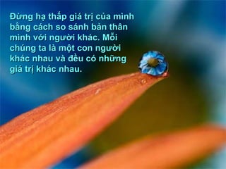 Ðừng hạ thấp giá trị của mình bằng cách so sánh bản thân mình với người khác. Mỗi chúng ta là một con người khác nhau và đều có những giá trị khác nhau.  