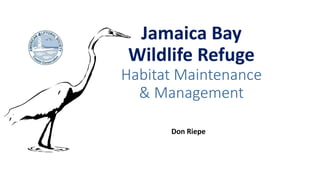 Jamaica Bay
Wildlife Refuge
Habitat Maintenance
& Management
Don Riepe
 