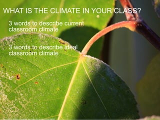 WHAT IS THE CLIMATE IN YOUR CLASS?
3 words to describe current
classroom climate
3 words to describe ideal
classroom climate
Photo credit: Par Aronsson cc: SEDACMaps - https://www.flickr.com/photos/54545503@N04
 
