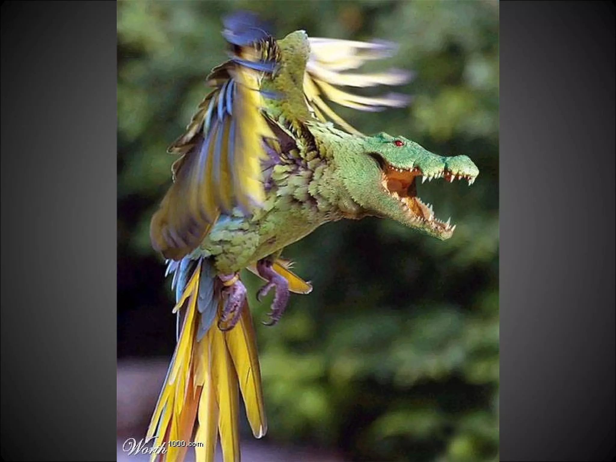 Don’t believe all you see 1 PPT(01)