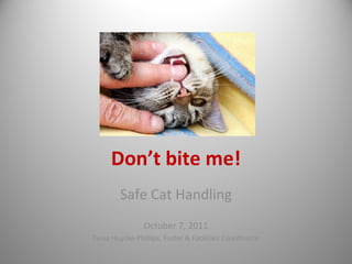 Don’t bite me!
        Safe Cat Handling
                October 7, 2011
Tania Huycke-Phillips, Foster & Facilities Coordinator
 