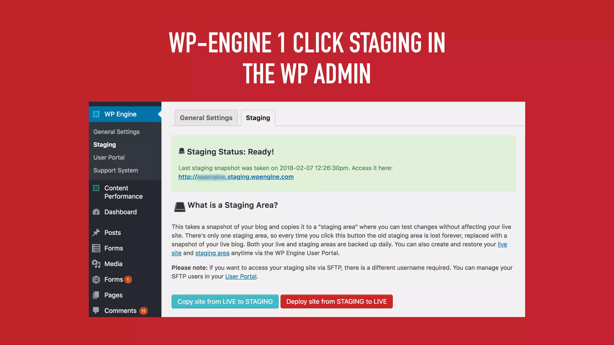 WP-ENGINE 1 CLICK STAGING IN
THE WP ADMIN
 