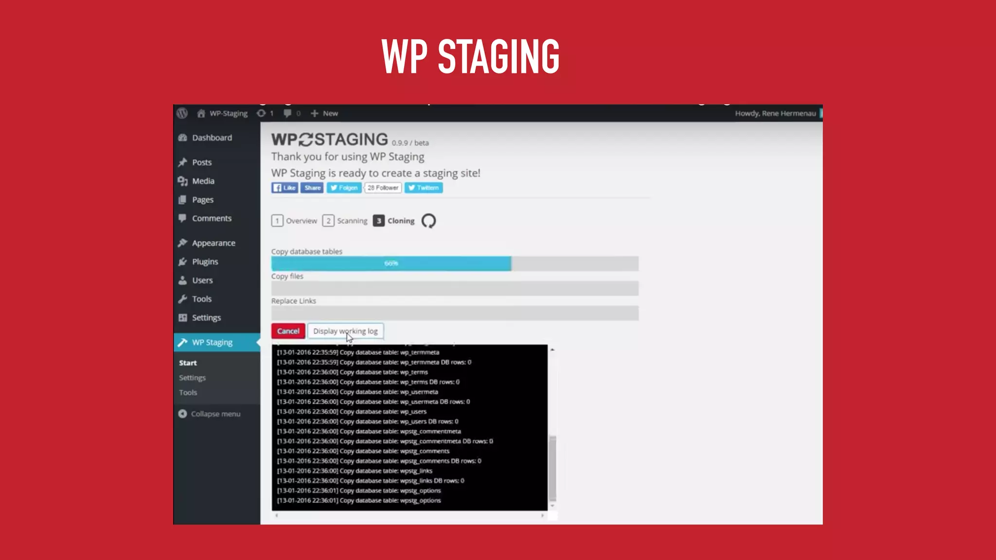 WP STAGING
 