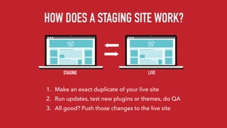 HOW DOES A STAGING SITE WORK?
STAGING LIVE
1. Make an exact duplicate of your live site
2. Run updates, test new plugins or themes, do QA
3. All good? Push those changes to the live site
 