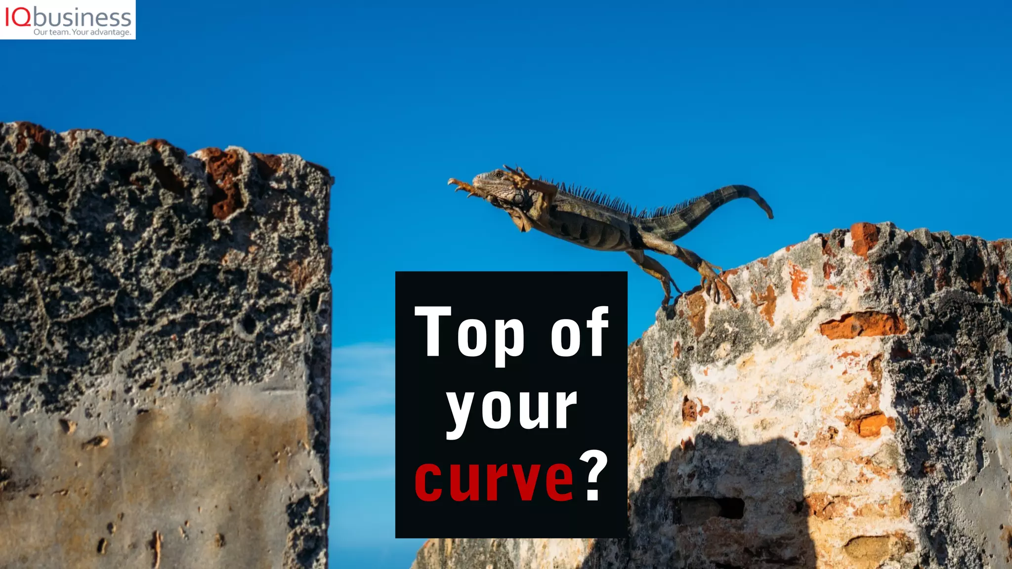 Top of
your
curve?
 