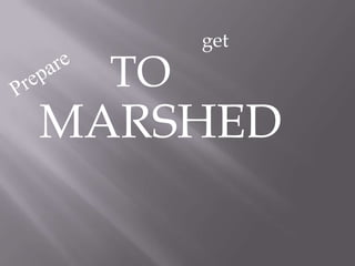 getPrepareTOMARSHED