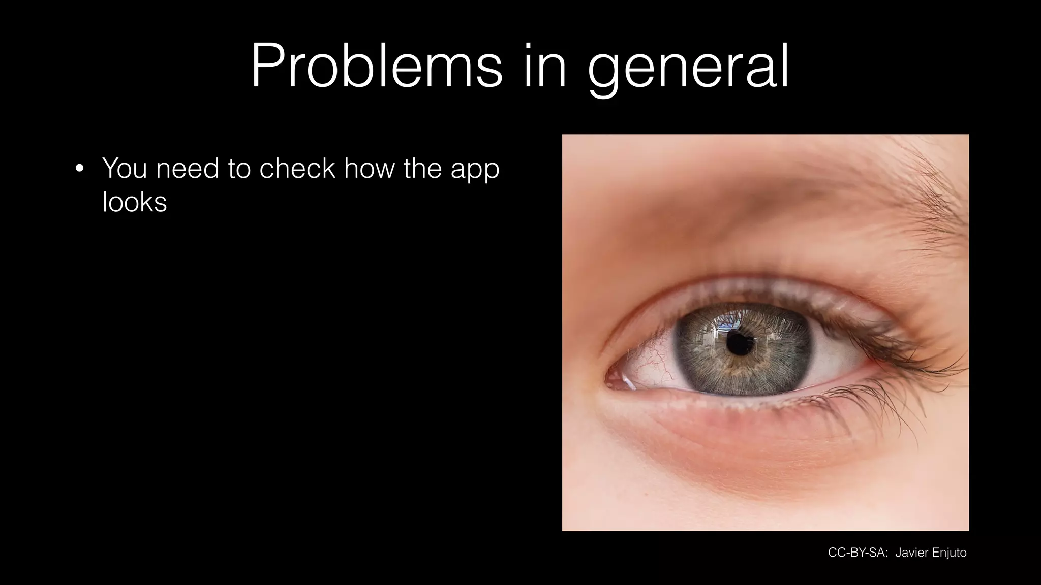 Problems in general
• You need to check how the app
looks
CC-BY-SA: Javier Enjuto
 