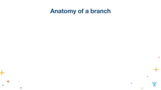 Anatomy of a branch 
 